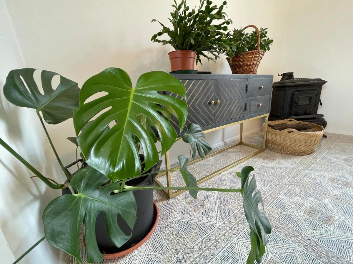 Cilka'S House, Authentic Homestay Near Lipica Sezana ภายนอก รูปภาพ