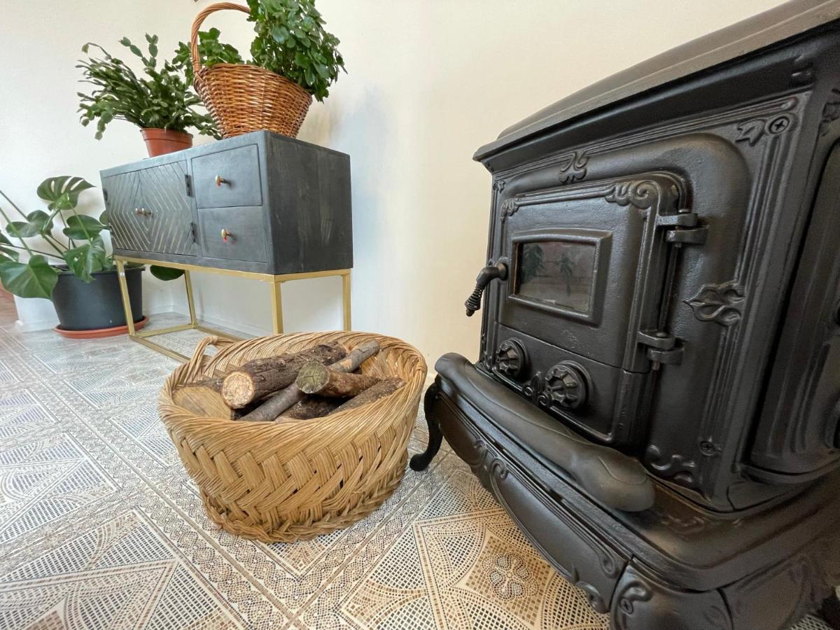 Cilka'S House, Authentic Homestay Near Lipica Sezana ภายนอก รูปภาพ